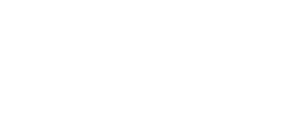Global Pioneer